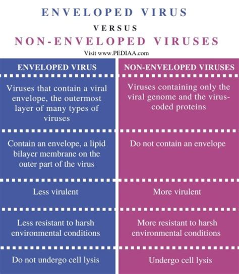 does autoclaving kill non-enveloped viruses|enveloped virus vs unenveloped.